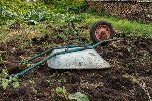 overturned wheelbarrow in the garden. photo