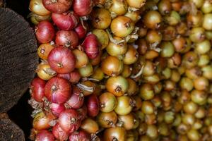 Onion plait. Yellow and red onions hanging in bunches. Harvesting onions photo