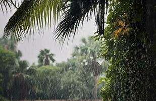 lluvia en el zona tropical durante el bajo temporada o monzón estación. gotas de lluvia en un jardín. generativo ai foto