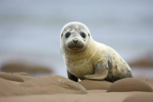 Harbor seal cub. AI Generated photo