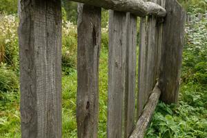 old wooden fence from boards photo