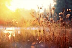 Arte otoño soleado naturaleza antecedentes. generativo ai foto