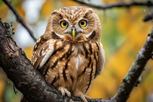 Owl perched on a tree branch in nature Generative AI photo