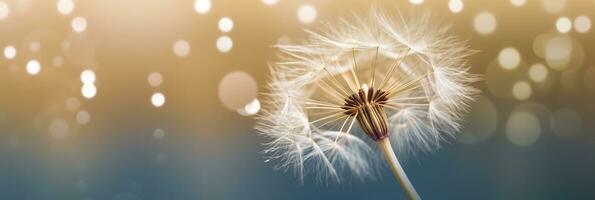 Abstract blurred nature background dandelion seeds parachute. Bokeh pattern. Generative AI photo