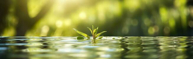 borroso imagen de natural antecedentes desde agua y plantas. generativo ai foto