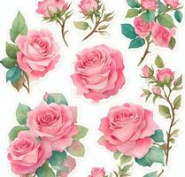 seamless pattern with pink roses photo