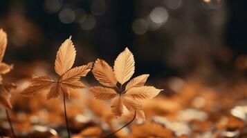 fondo de hojas de otoño foto