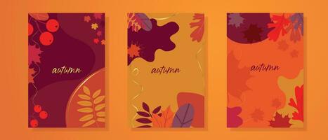 Autumn, Thanksgiving trendy backgrounds with beautiful leaves. vector