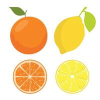 Lemon and oranges. Slices and whole lemon and orange fruits with stem and leaf. vector