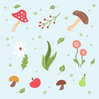 Cartoon Color Autumn Floral and Plants Collection. Vector