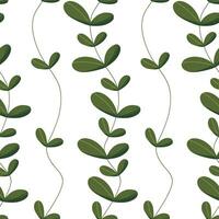 Seamless pattern with vertical branches of green leaves. Pattern with branches and leaves of silver dollar eucalyptus isolated on white background. Wallpaper, fabric, wrapping paper, scrapbooking. vector