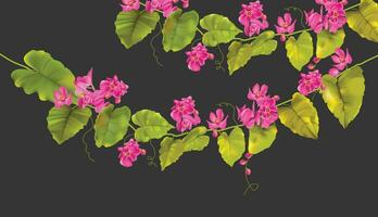 coral vine air mata pengantin tree vector in green leaves and dark background.