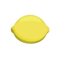 Yellow lemon on a white background vector