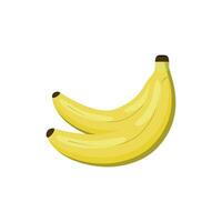 Yellow bananas on a white background vector