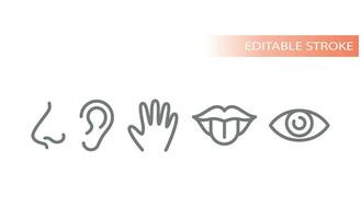 Five senses, human sensory organs icons. Touch, smell, see and taste line icon set. vector