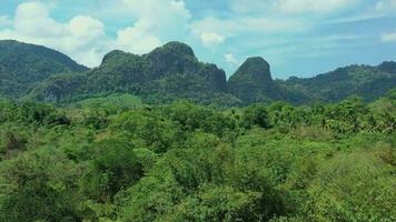 Philippine jungle from the top of a viewpoint video