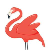 birds flamingo and flowers. frames with flamingo. flamingo background vector