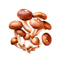 shiitake svamp. ai generativ png