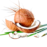 Kokosnüsse und Palme Blätter. ai generativ png