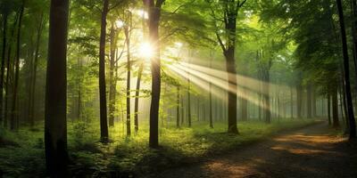 Beautiful rays of sunlight in a green forest. Generative AI photo