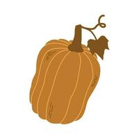 Hand drawn pumpkin. Flat vector illustration isolated on white background. EPS10