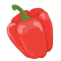 Paprika cartoon. Vector illustration of a whole bell pepper. Sweet red pepper from Bulgaria, farm juicy vegetable, seasoning for cooking.