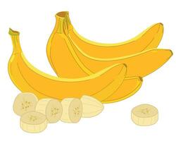 composición de vector amarillo bananas en plano estilo. todo exótico fruta, manojo de plátanos, rebanado blanco pulpa. blanco antecedentes. dibujos animados estilo clipart para embalaje diseño de jugo, mermelada, rebanadas