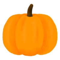 Pumpkin on transparent background png