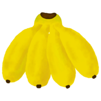 Bunch of bananas on transparent background png