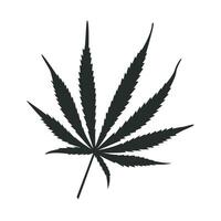 marijuana hoja icono gráfico vector diseño ilustración