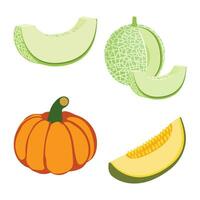Set of fresh Cantaloupe melon and Pumpkin slices Pro Vector. vector
