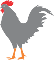 gallo silueta ilustración png