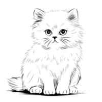 white kitten illustration design on a white background vector