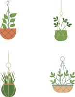 Hanging Potted Plant With Different Type Plant. Vector Illustration Set.