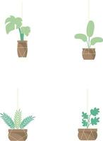 Hanging Potted Plant In White Background. Vector Illustration Set.