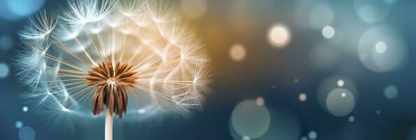 Abstract blurred nature background dandelion seeds parachute. Bokeh pattern. Generative AI photo