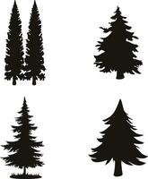 Pine Tree Silhouette With Flat Design. Isolated On White Background. Vector Illustration Set.