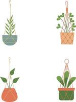 Hanging Potted Plant With Different Type Plant. Vector Illustration Set.