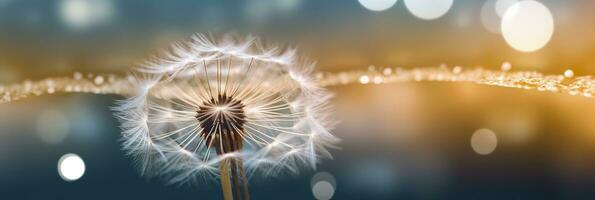 Abstract blurred nature background dandelion seeds parachute. Bokeh pattern. Generative AI photo