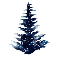 hiver arbre aquarelle png