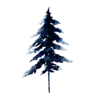 hiver arbre aquarelle png