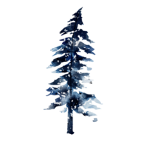 inverno albero acquerello png