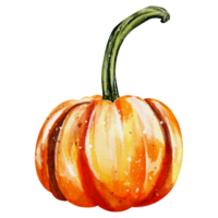 Autumn pumpkins watercolor png