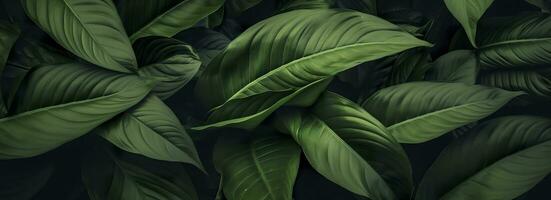 Abstract green leaf texture with nature background, tropical leaf. Generative AI photo