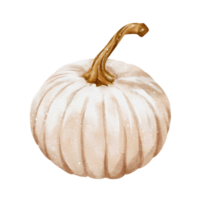 höst pumpor vattenfärg png