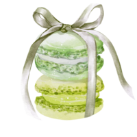 Macaron dessert watercolor png