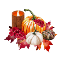 Autumn pumpkins watercolor png