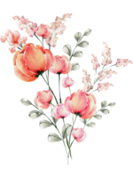 Watercolor of spring floral bouquet png