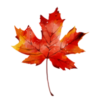 Autumn leaf watercolor png