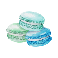 macaron dessert akvarell png